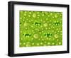 Stomata on Rice Plant Leaf-Micro Discovery-Framed Photographic Print