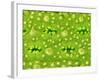 Stomata on Rice Plant Leaf-Micro Discovery-Framed Photographic Print