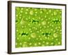 Stomata on Rice Plant Leaf-Micro Discovery-Framed Photographic Print
