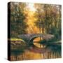 Stome Bridge-TC Chiu-Stretched Canvas