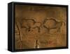 Stone-age Cave Paintings, Asturias, Spain-Javier Trueba-Framed Stretched Canvas