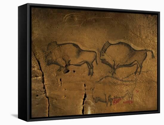 Stone-age Cave Paintings, Asturias, Spain-Javier Trueba-Framed Stretched Canvas