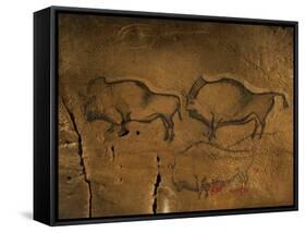 Stone-age Cave Paintings, Asturias, Spain-Javier Trueba-Framed Stretched Canvas