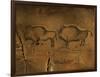 Stone-age Cave Paintings, Asturias, Spain-Javier Trueba-Framed Photographic Print