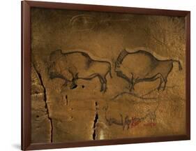 Stone-age Cave Paintings, Asturias, Spain-Javier Trueba-Framed Photographic Print