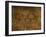 Stone-age Cave Paintings, Asturias, Spain-Javier Trueba-Framed Photographic Print