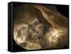 Stone-age Cave Paintings, Chauvet, France-Javier Trueba-Framed Stretched Canvas