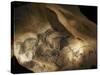 Stone-age Cave Paintings, Chauvet, France-Javier Trueba-Stretched Canvas