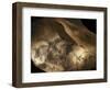 Stone-age Cave Paintings, Chauvet, France-Javier Trueba-Framed Premium Photographic Print