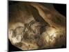 Stone-age Cave Paintings, Chauvet, France-Javier Trueba-Mounted Premium Photographic Print