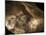 Stone-age Cave Paintings, Chauvet, France-Javier Trueba-Mounted Premium Photographic Print