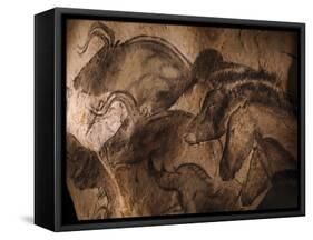 Stone-age Cave Paintings, Chauvet, France-Javier Trueba-Framed Stretched Canvas