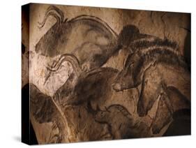 Stone-age Cave Paintings, Chauvet, France-Javier Trueba-Stretched Canvas