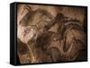 Stone-age Cave Paintings, Chauvet, France-Javier Trueba-Framed Stretched Canvas