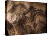 Stone-age Cave Paintings, Chauvet, France-Javier Trueba-Stretched Canvas