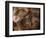 Stone-age Cave Paintings, Chauvet, France-Javier Trueba-Framed Premium Photographic Print