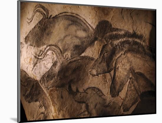 Stone-age Cave Paintings, Chauvet, France-Javier Trueba-Mounted Premium Photographic Print