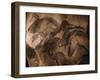 Stone-age Cave Paintings, Chauvet, France-Javier Trueba-Framed Premium Photographic Print