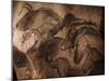 Stone-age Cave Paintings, Chauvet, France-Javier Trueba-Mounted Premium Photographic Print