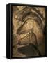 Stone-age Cave Paintings, Chauvet, France-Javier Trueba-Framed Stretched Canvas