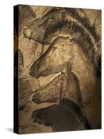 Stone-age Cave Paintings, Chauvet, France-Javier Trueba-Stretched Canvas