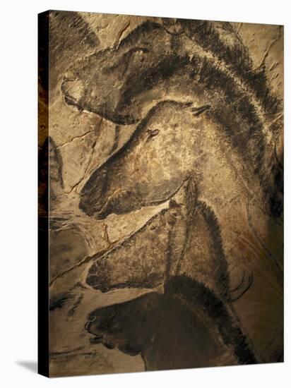 Stone-age Cave Paintings, Chauvet, France-Javier Trueba-Stretched Canvas