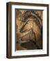 Stone-age Cave Paintings, Chauvet, France-Javier Trueba-Framed Premium Photographic Print