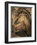 Stone-age Cave Paintings, Chauvet, France-Javier Trueba-Framed Premium Photographic Print