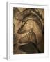 Stone-age Cave Paintings, Chauvet, France-Javier Trueba-Framed Premium Photographic Print