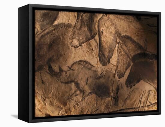 Stone-age Cave Paintings, Chauvet, France-Javier Trueba-Framed Stretched Canvas