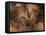 Stone-age Cave Paintings, Chauvet, France-Javier Trueba-Framed Stretched Canvas