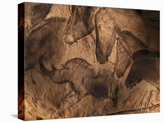Stone-age Cave Paintings, Chauvet, France-Javier Trueba-Stretched Canvas