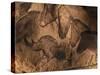 Stone-age Cave Paintings, Chauvet, France-Javier Trueba-Stretched Canvas