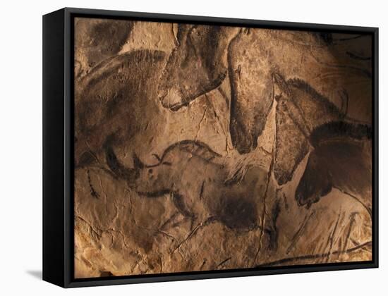 Stone-age Cave Paintings, Chauvet, France-Javier Trueba-Framed Stretched Canvas