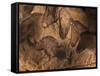 Stone-age Cave Paintings, Chauvet, France-Javier Trueba-Framed Stretched Canvas