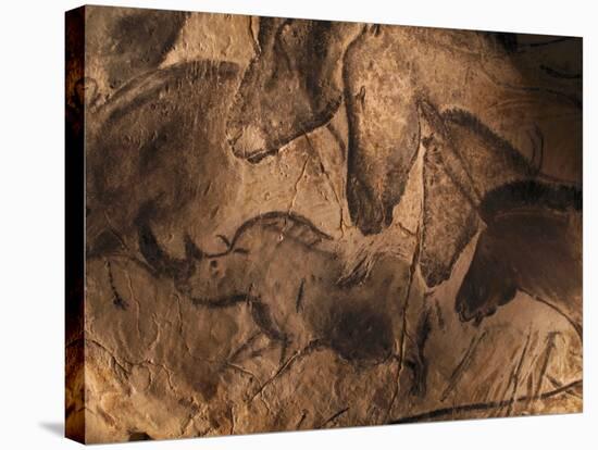 Stone-age Cave Paintings, Chauvet, France-Javier Trueba-Stretched Canvas