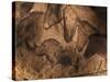 Stone-age Cave Paintings, Chauvet, France-Javier Trueba-Stretched Canvas