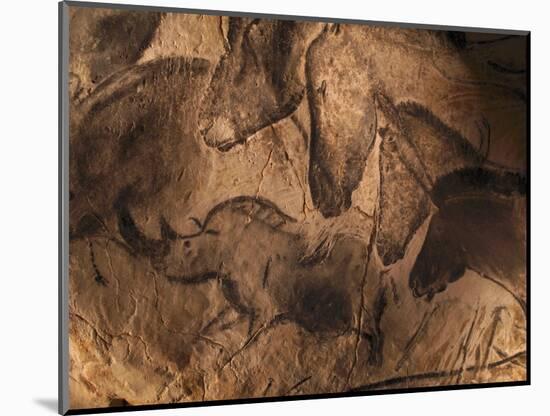 Stone-age Cave Paintings, Chauvet, France-Javier Trueba-Mounted Premium Photographic Print