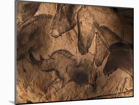 Stone-age Cave Paintings, Chauvet, France-Javier Trueba-Mounted Premium Photographic Print