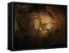 Stone-age Cave Paintings, Chauvet, France-Javier Trueba-Framed Stretched Canvas