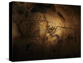 Stone-age Cave Paintings, Chauvet, France-Javier Trueba-Stretched Canvas