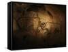 Stone-age Cave Paintings, Chauvet, France-Javier Trueba-Framed Stretched Canvas