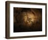 Stone-age Cave Paintings, Chauvet, France-Javier Trueba-Framed Premium Photographic Print