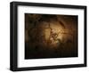 Stone-age Cave Paintings, Chauvet, France-Javier Trueba-Framed Premium Photographic Print