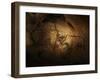 Stone-age Cave Paintings, Chauvet, France-Javier Trueba-Framed Premium Photographic Print