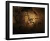 Stone-age Cave Paintings, Chauvet, France-Javier Trueba-Framed Premium Photographic Print