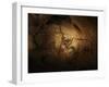 Stone-age Cave Paintings, Chauvet, France-Javier Trueba-Framed Premium Photographic Print