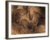 Stone-age Cave Paintings, Chauvet, France-Javier Trueba-Framed Photographic Print