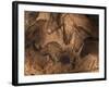 Stone-age Cave Paintings, Chauvet, France-Javier Trueba-Framed Photographic Print