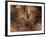 Stone-age Cave Paintings, Chauvet, France-Javier Trueba-Framed Photographic Print